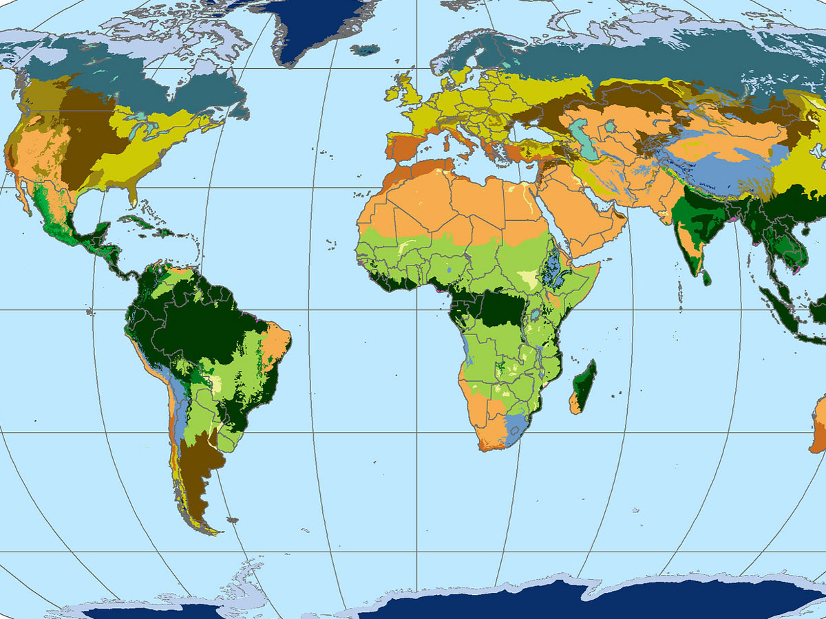 Lesson Plan  Discovering Rainforest Locations Intended For World Biome Map Coloring Worksheet