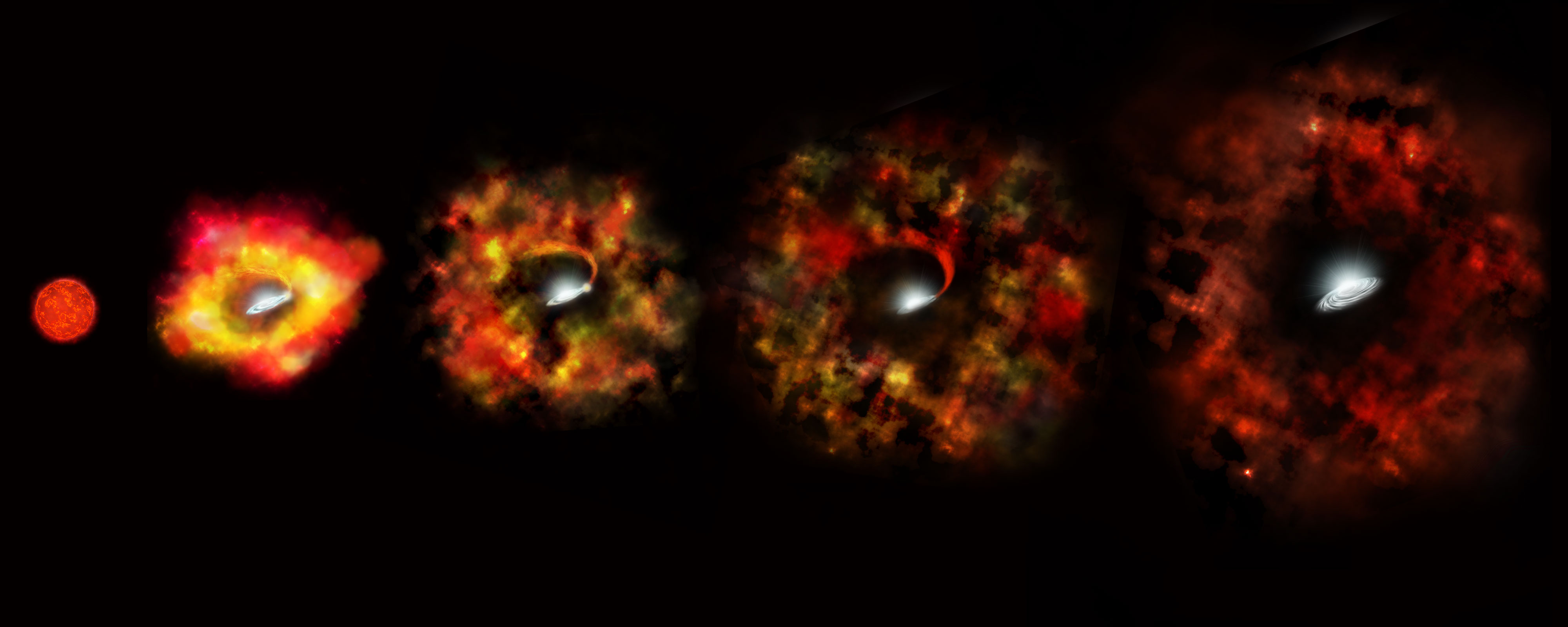 Failed Supernova Makes for a Successful Black Hole | California Academy of  Sciences
