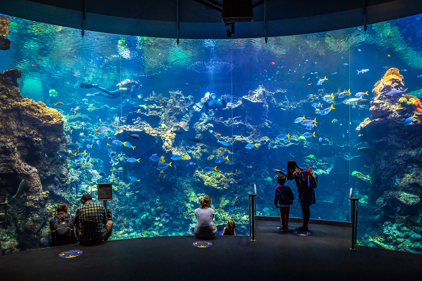 Scholars seek greater collaboration between zoos, aquariums, and natural  history museums