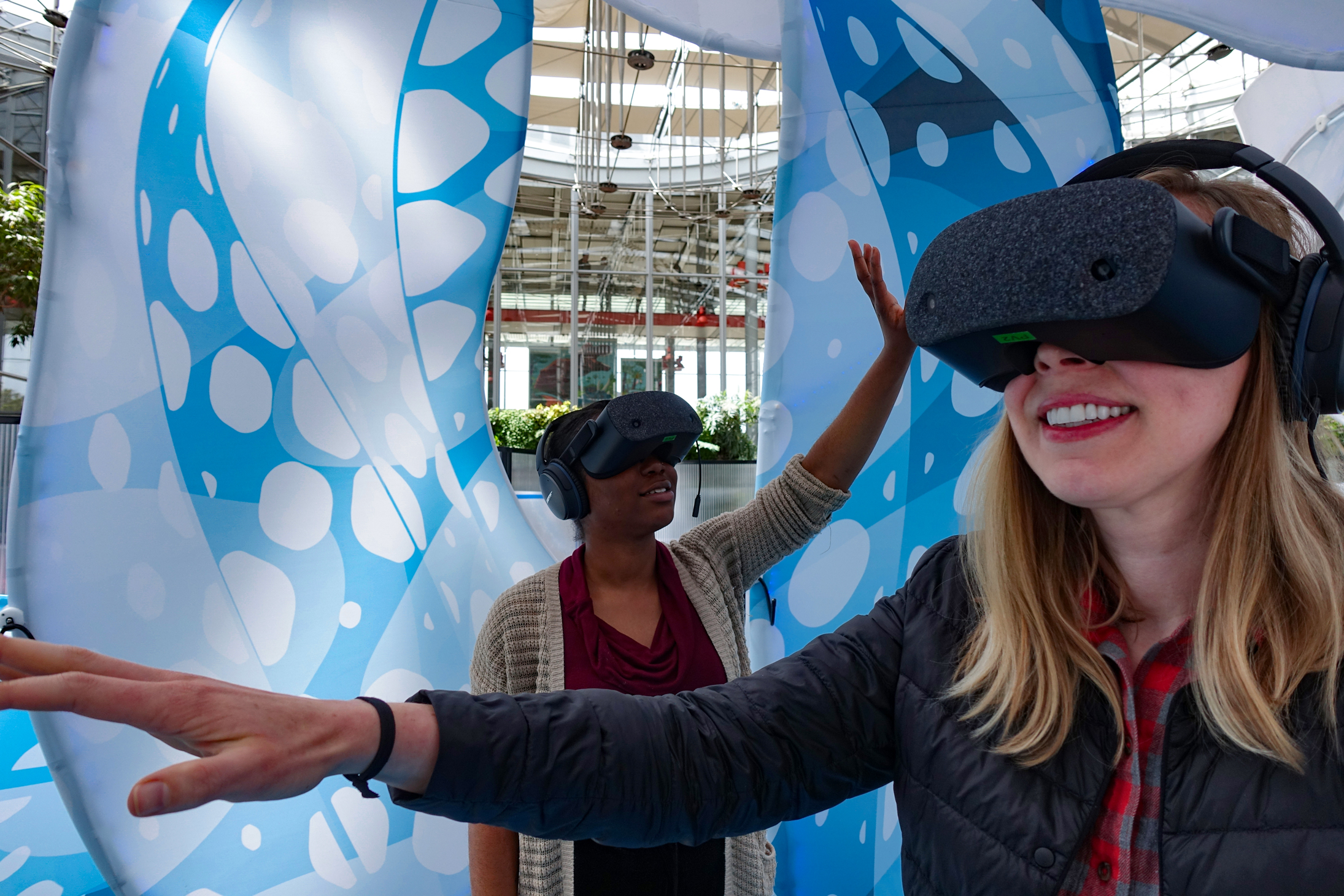 Skyldig dechifrere snave Drop in the Ocean: A Social VR Experience | California Academy of Sciences