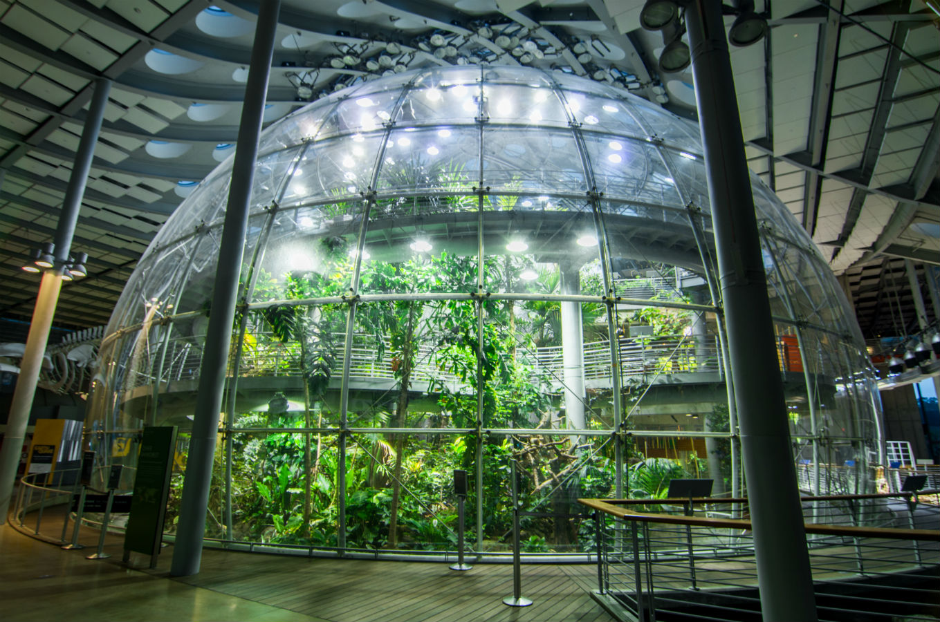 March 2017: Programs and Events at the California Academy ...
