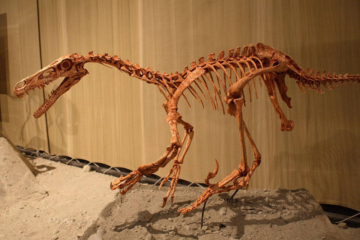 Velociraptor_mount