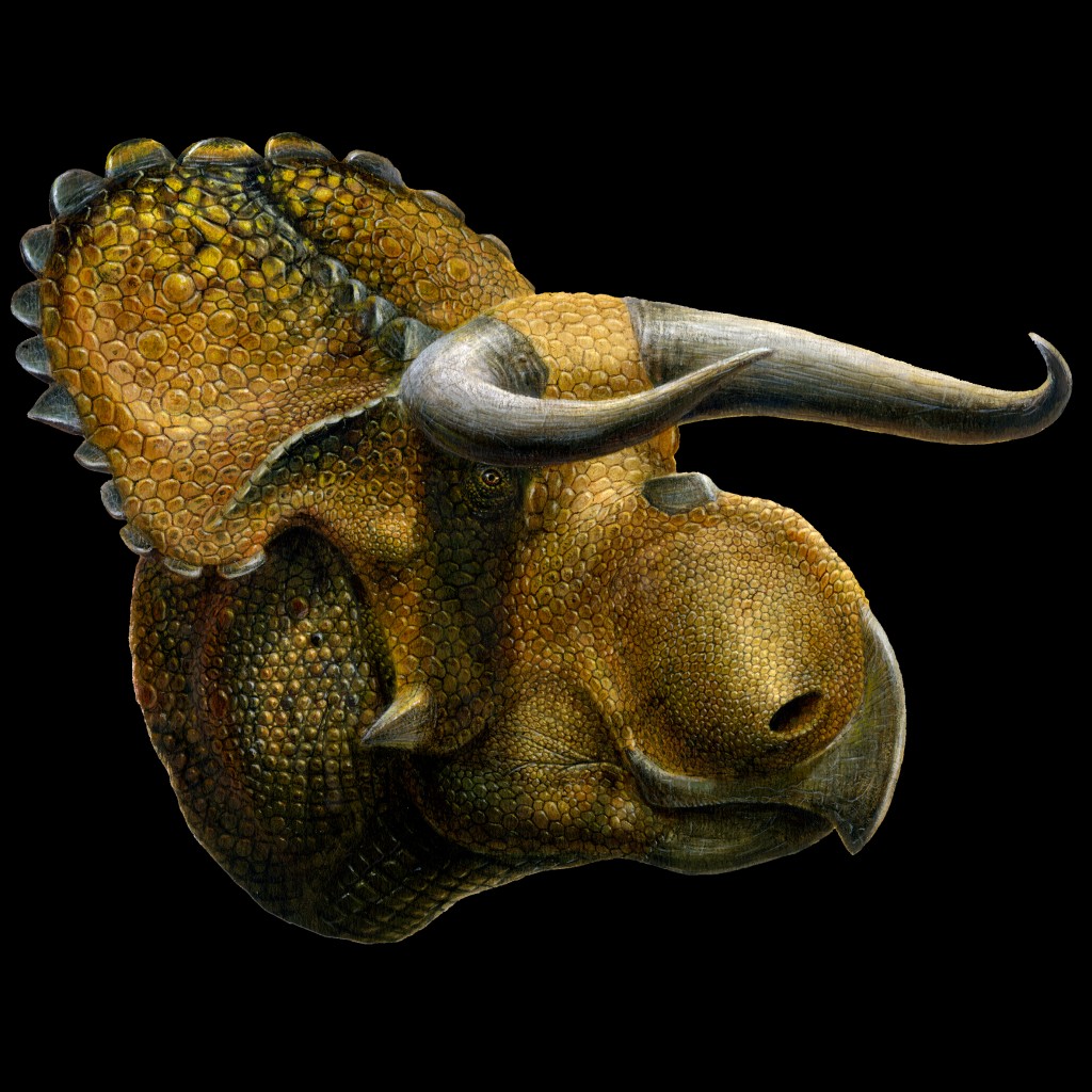 Nasutoceratops-panzarin-1024x1024
