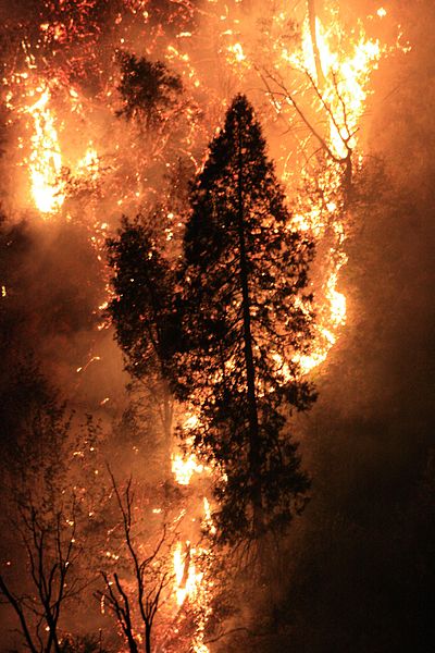 The_Rim_Fire_in_the_Stanislaus_National_Forest_on_Aug._17,_2013_-001