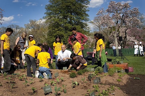 students_planting_garden_at_white_house