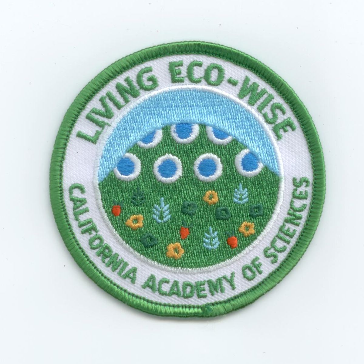 Living Eco-Wise Patch