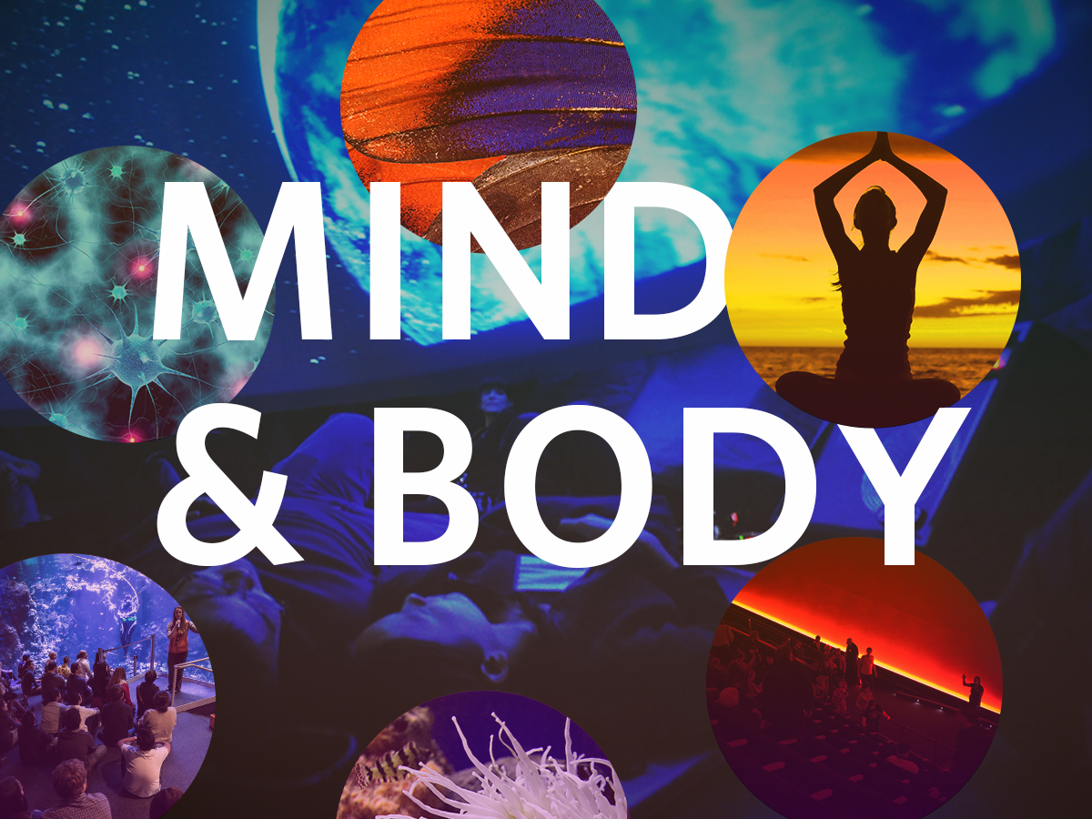 Mind & Body NightLife California Academy of Sciences
