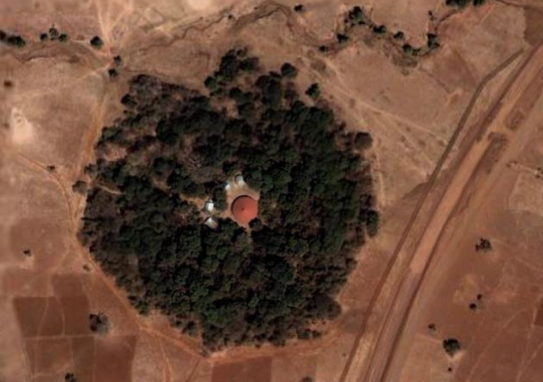 Ethiopian Church Forest