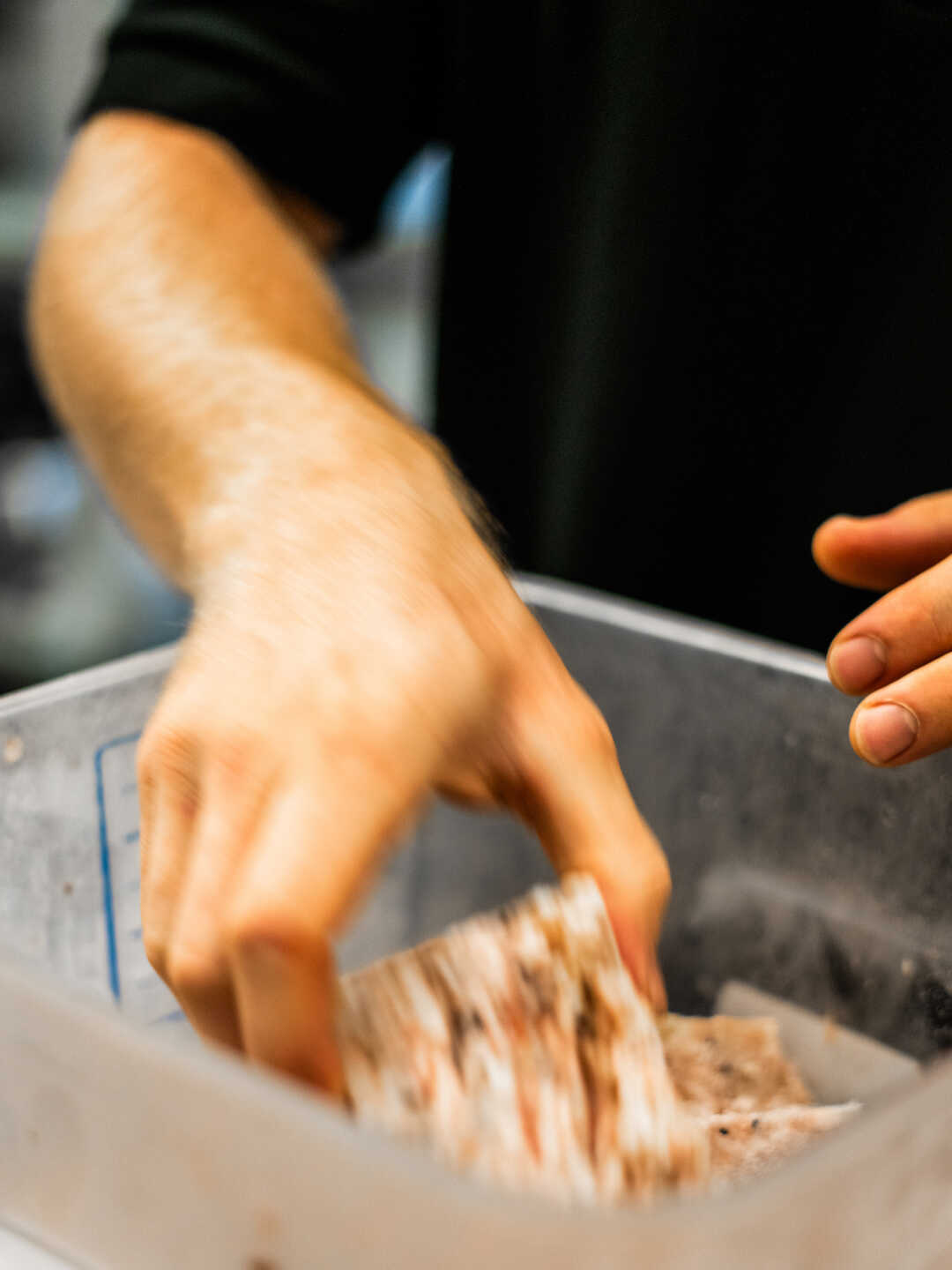 A biologist empties a container of frozen krill.