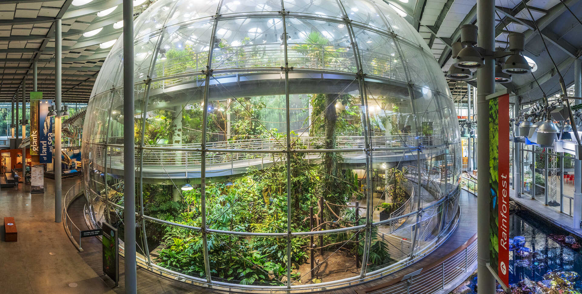 A panoramic image of the Osher Rainforest bolla, or dome, before opening. The glass is clear and plants are visible inside.