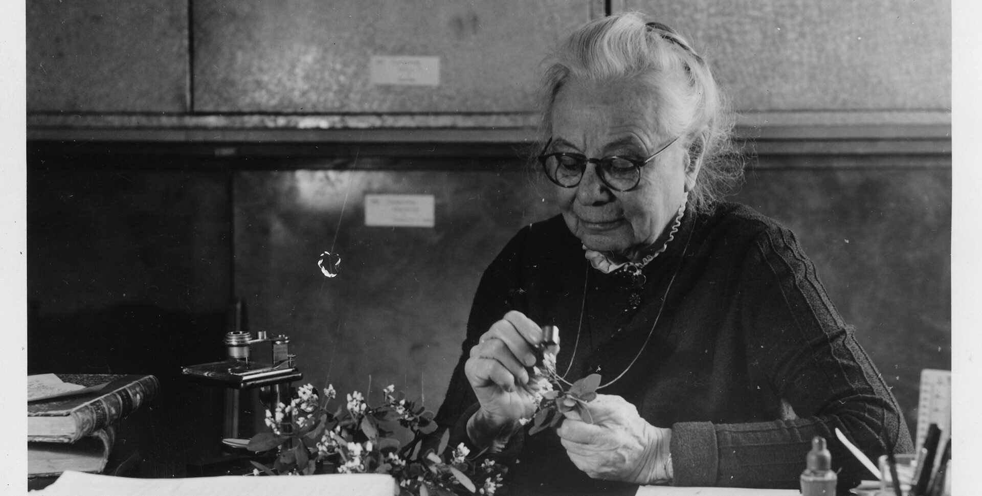Alice Eastwood inspects a plant stem using a pocket magnifier necklace, wearing a black dress in a black and white vintage image.