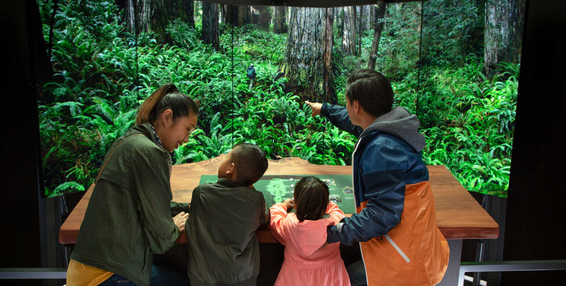 A family explores the interactive redwood ascent feature of the Giants of Land and Sea exhibit