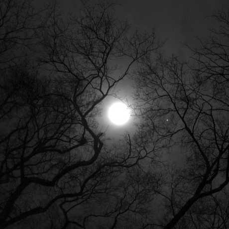 moon lore calacademy morrison planetarium nightlife