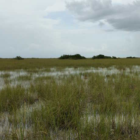 Florida Everglades, Pietro Valocchi/Flickr