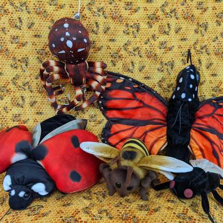 Plush bumblebee, spider, and butterfly toys