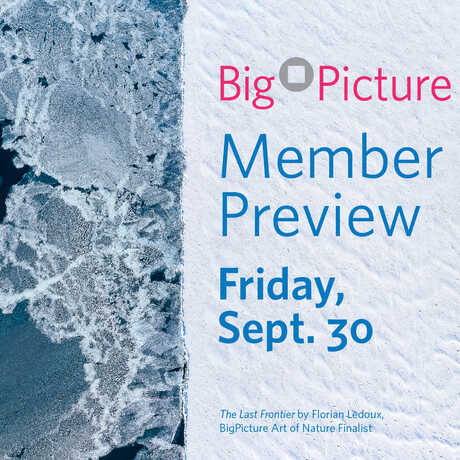 BigPicture Member Preview on Friday, September 30