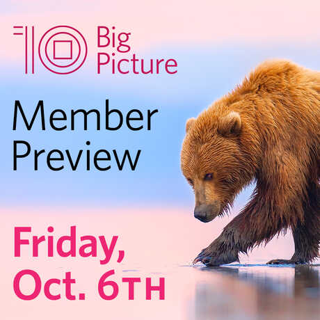 BigPicture Member Preview Friday, October 6