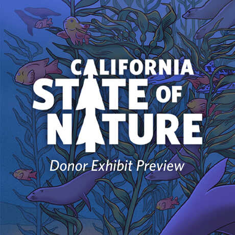 California State of Nature illustration