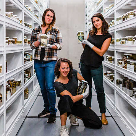 The herpetology team in an aisle of collections