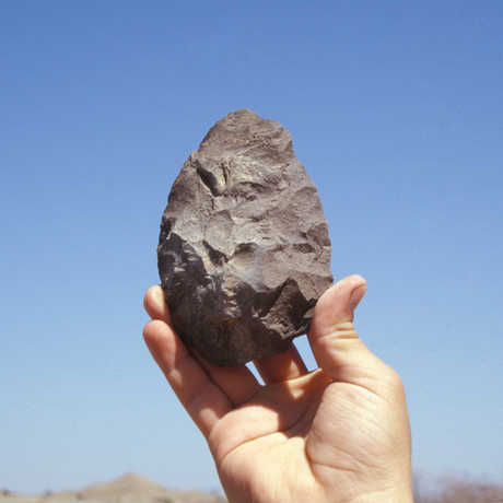 Stone tool found at Dikika
