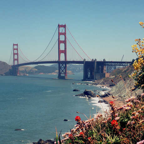 Golden Gate Bridge with coastal flora