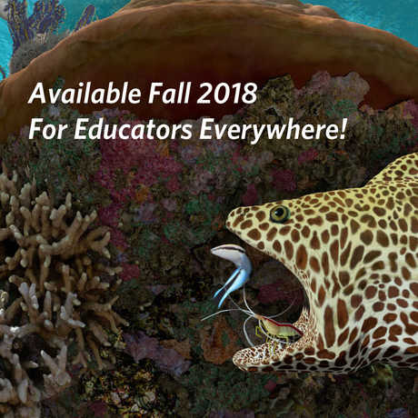 Available Fall 2018 for Educators Everywhere!