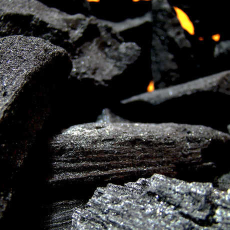 Carbon in coal, Cristian Hold