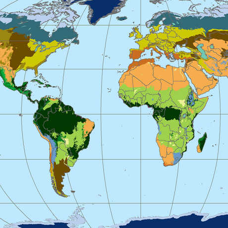Map of world biomes