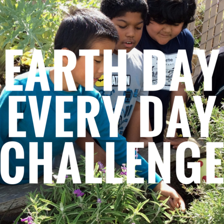 SFUSD Earth Day Every Day Challenge