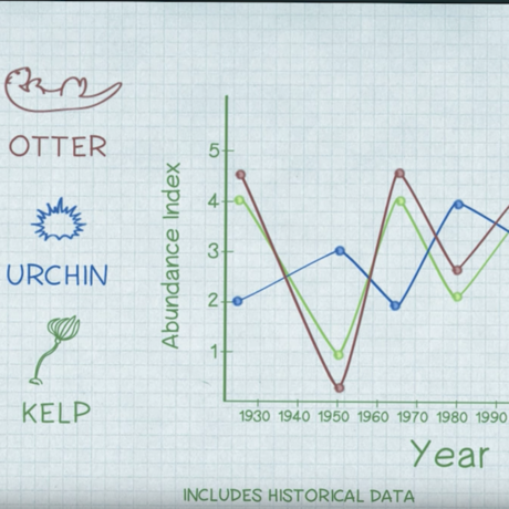 Otter, Urchan, and Kelp Chart
