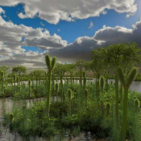 A carboniferous swamp on an ancient Earth.