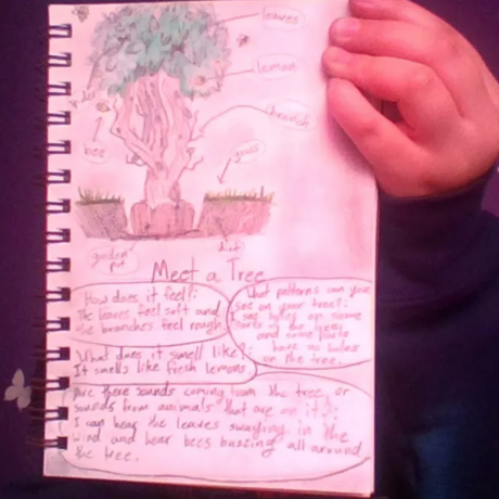 Meet a Tree Student Notes