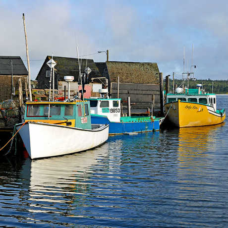 fishing boats with traps