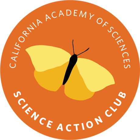 Science Action Club Bug Safari