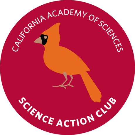 SAC Bird Scouts Emblem 