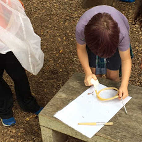 kids use pooters and nets to collect insects outdoors!