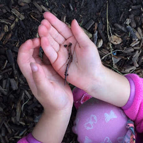 child holds an earthworm softly in their hands after investigating outdoors
