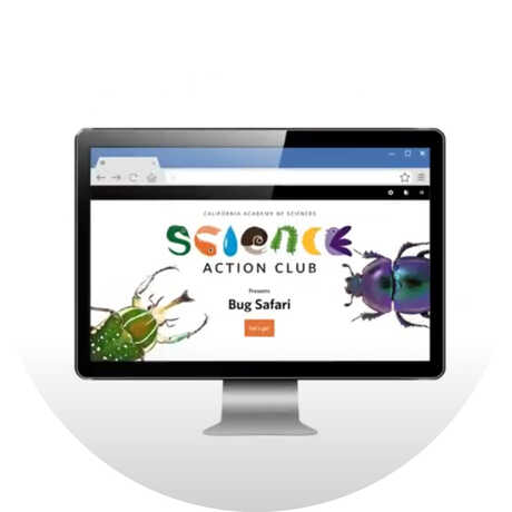 Computer monitor with SAC Bug Safari welcome screen
