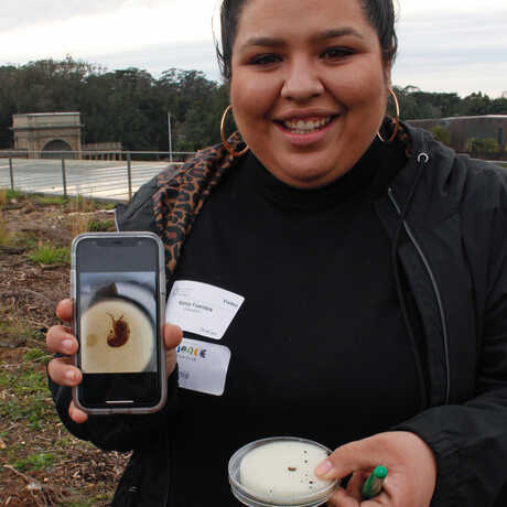 SAC educator shows smartphone photo of insect in petri dish on Academy Living Roof