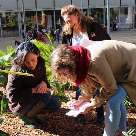 Science Action Club educators do a Bug Safari at the Academy