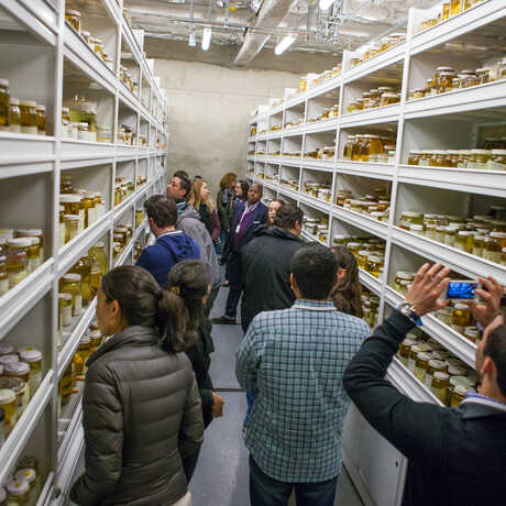 Tour guests explore Academy collections during their Behind-the-Scenes tour.