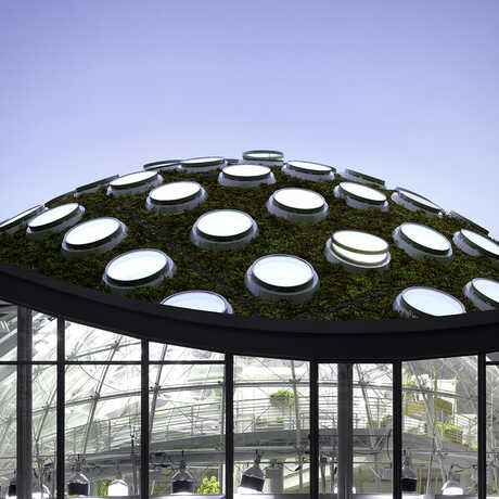 External image of the Living Roof and the Rainforests of the World exhibit.