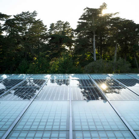The solar canopy around the perimeter of the Living Roof. 