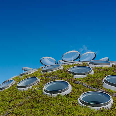 The automated ventilation system on the Living Roof lets air flow through the Academy.