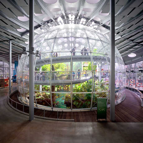 A view of the indoor rainforest dome by Tim Griffith