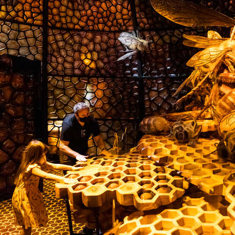 Man and girl guest play a hands-on game in the Bugs exhibit at the Academy
