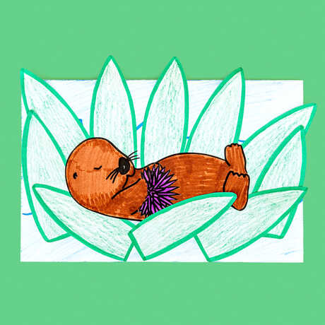 Sea otter card craft