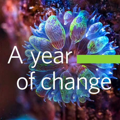 FY21 California Academy of Sciences annual report cover page with sea anemone
