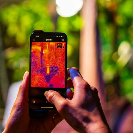 Academy biologist using an app to take an infrared photo of the heat signature of Mirage the corpse flower. Photo by Gayle Laird