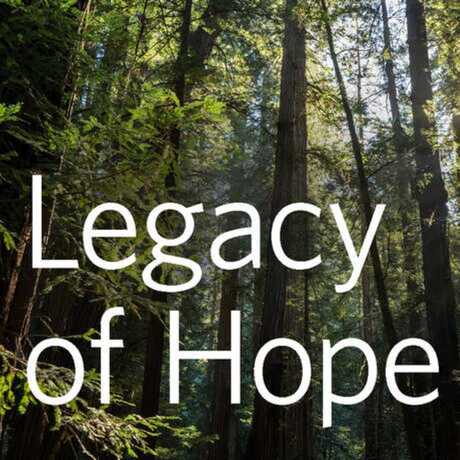 Image of tress with text "Legacy of Hope"